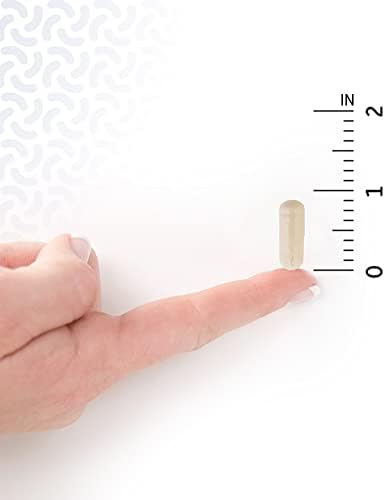 Garden of Life Once Daily Women’s Probiotics