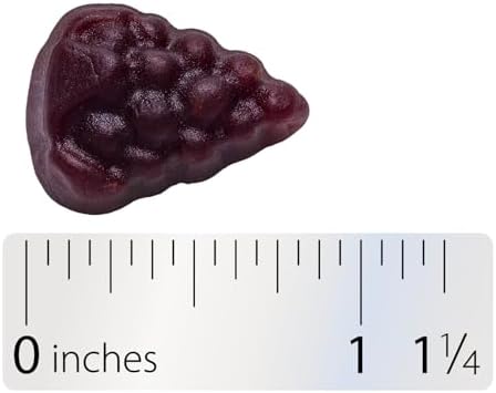 Nature’s Way Sambucus Elderberry Gummies